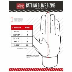 Rawlings Workhorse Pro Women's Double Strap Fatspitch Softball Impax Batting Gloves (Royal) -Cheap Baseball Bats Store sizeimage